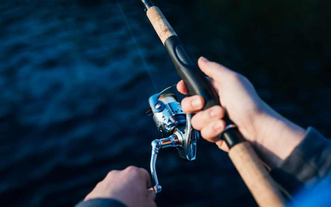 Baitcaster vs Spinner Reel: Choosing the Right Reel